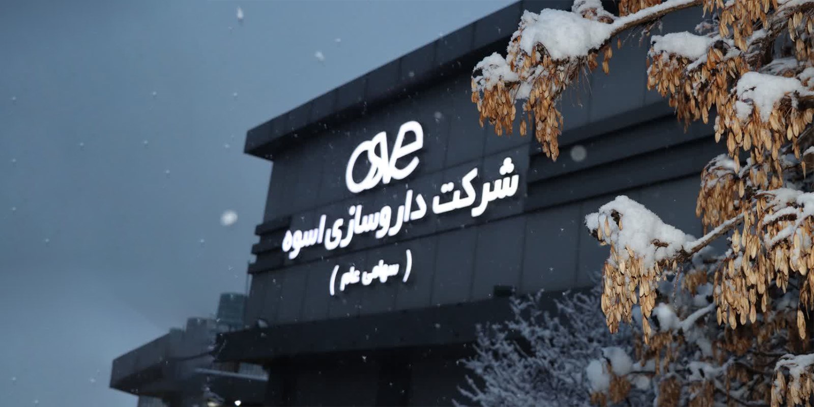 داروسازی اسوه