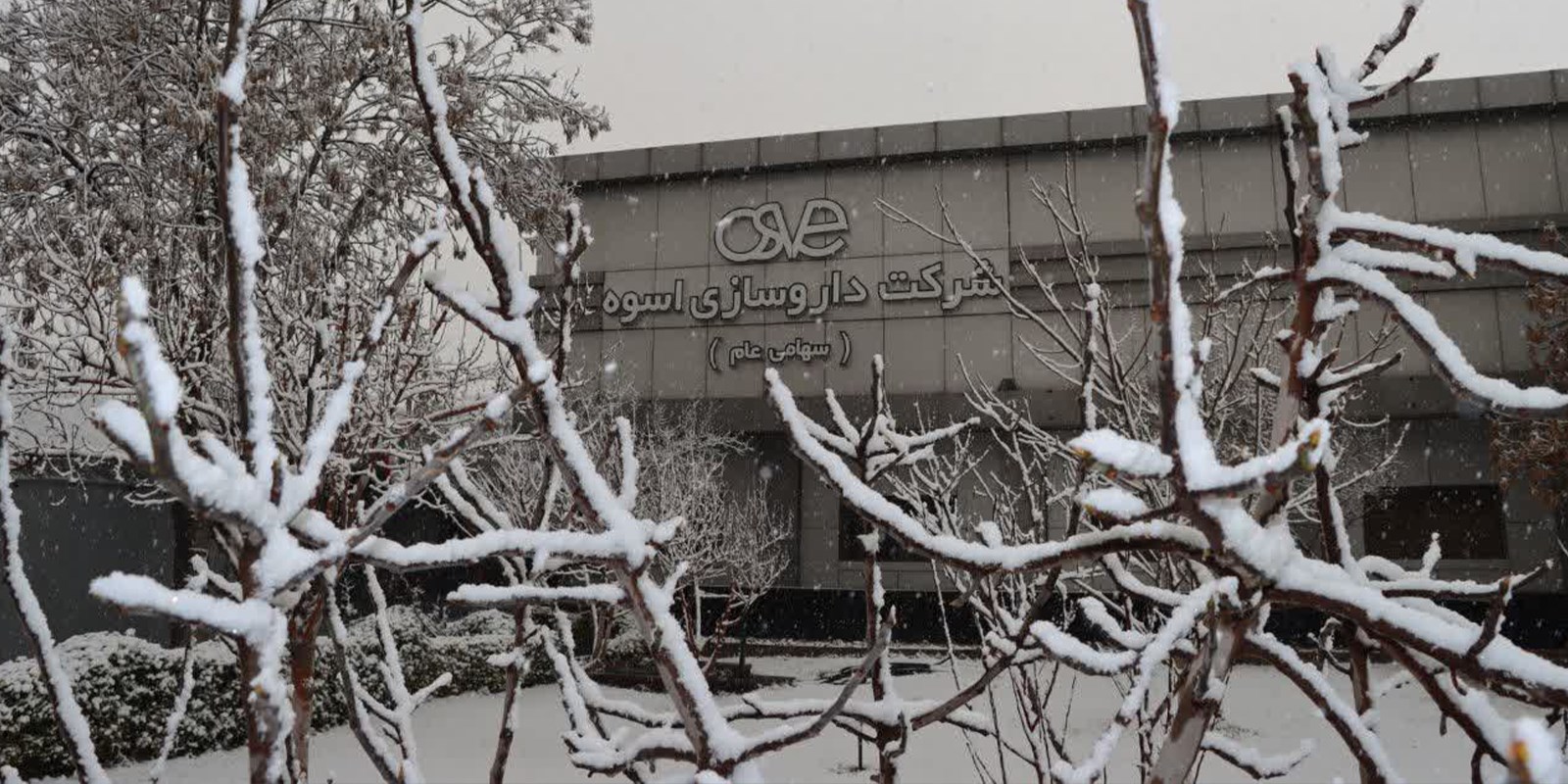 داروسازی اسوه