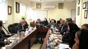 ضرورت نوسازی ناوگان و توسعه زیرساخت‌های "پخش رازی"/ سهم بازار هلدینگ دارویی "شفا" افزایش می‌یابد